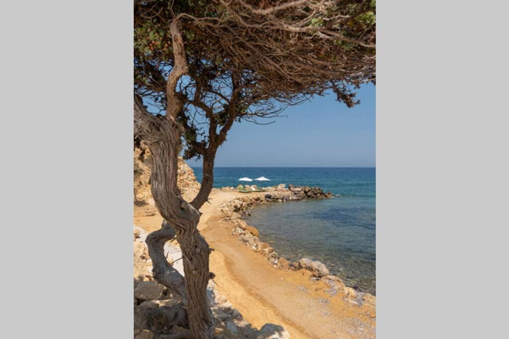 Ktima Sfakia Villa Kéfalos Dış mekan fotoğraf