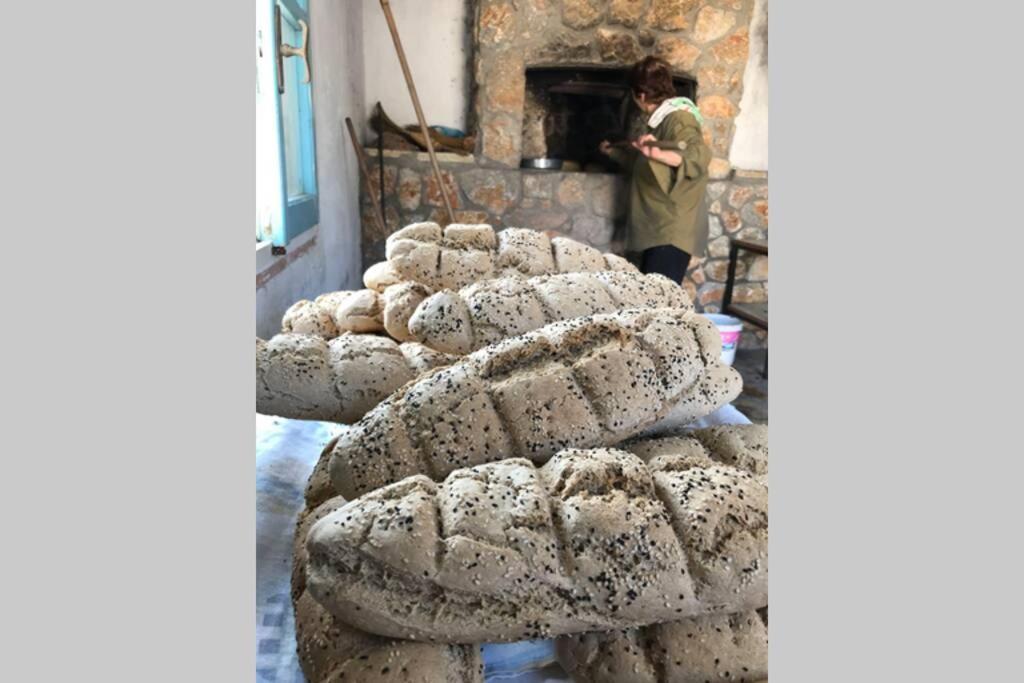 Ktima Sfakia Villa Kéfalos Dış mekan fotoğraf