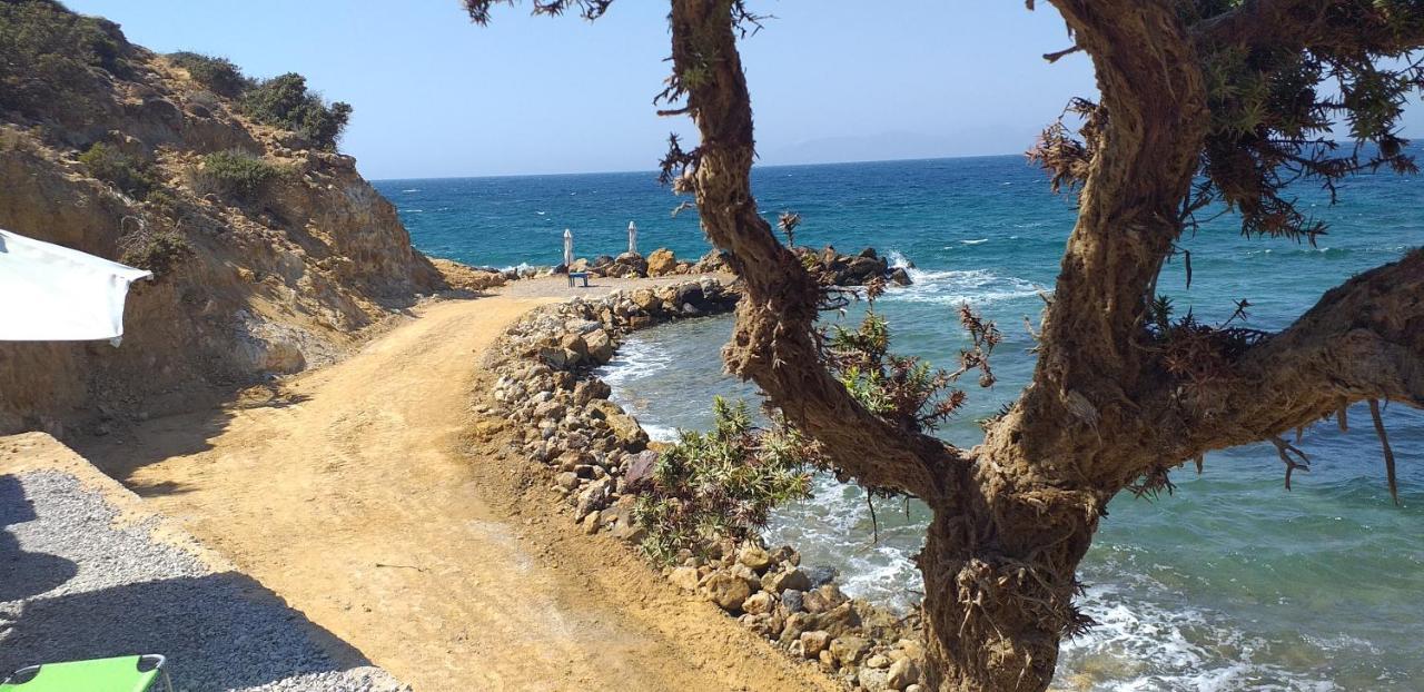 Ktima Sfakia Villa Kéfalos Dış mekan fotoğraf
