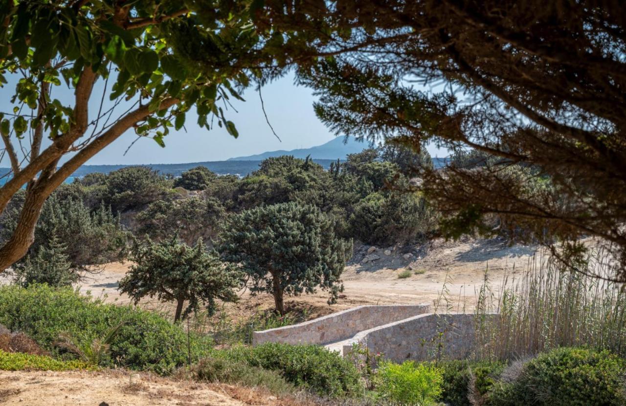 Ktima Sfakia Villa Kéfalos Dış mekan fotoğraf